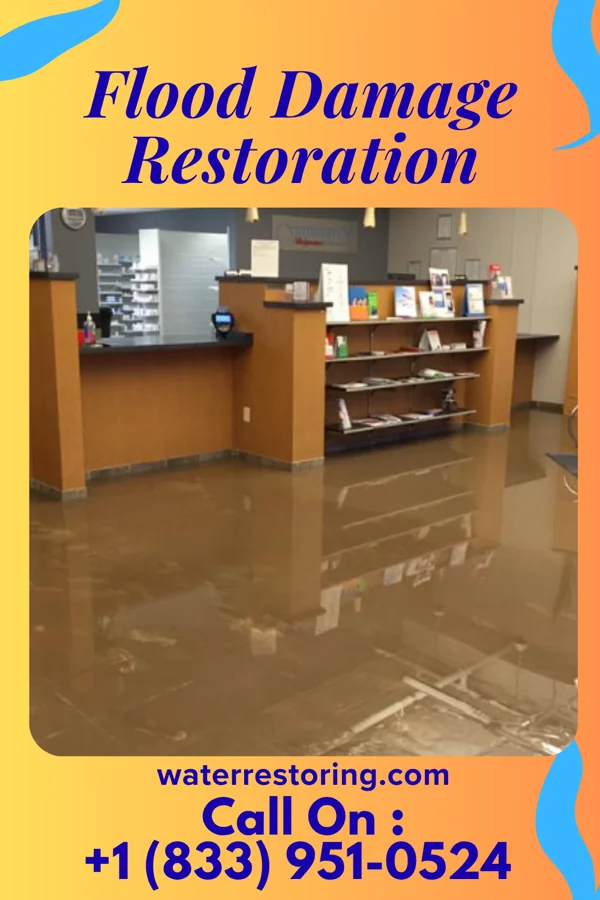Flood Damage Restoration in Roca, NE