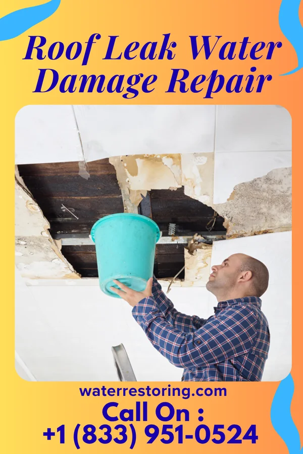 Roof Leak Water Damage Repair in Roca, NE